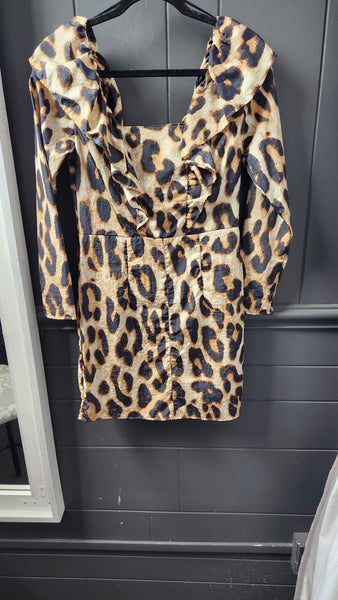 H&M Leopard Print Dress