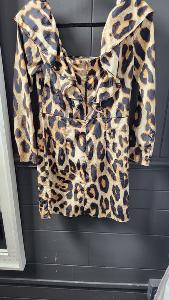 H&M Leopard Print Dress