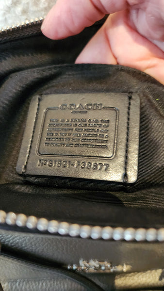 Coach Metallic Gray/ Silver  Leather EMMA Bag