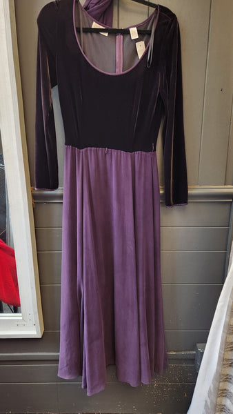Dana Buchman Velvet and Chiffon  Gown