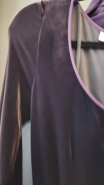 Dana Buchman Velvet and Chiffon  Gown