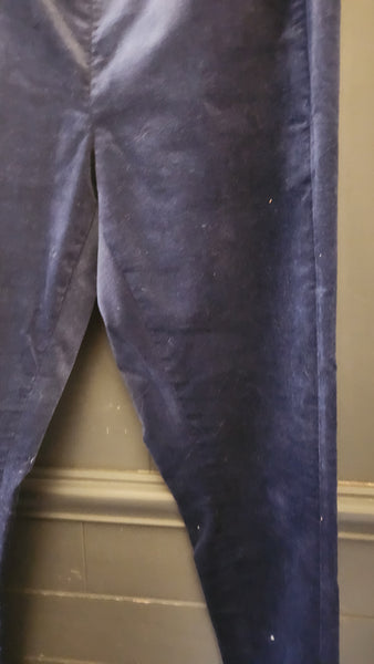 Banana Republic Velvet Pants