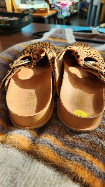 Chelsea and Violet Clogs