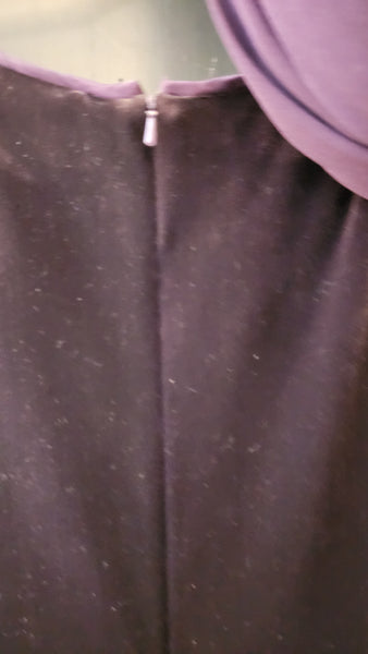 Dana Buchman Velvet and Chiffon  Gown