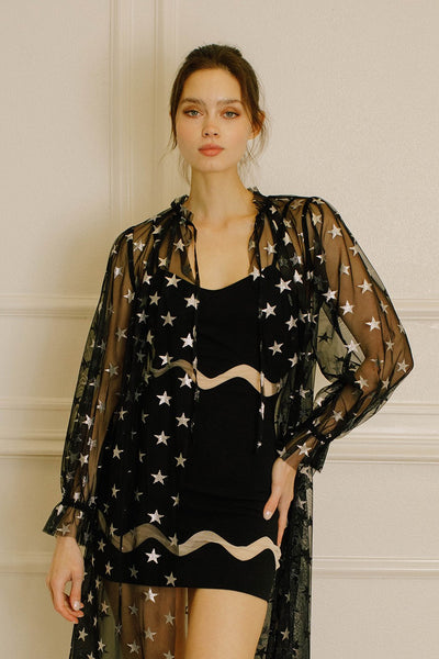 Glitter Star Duster